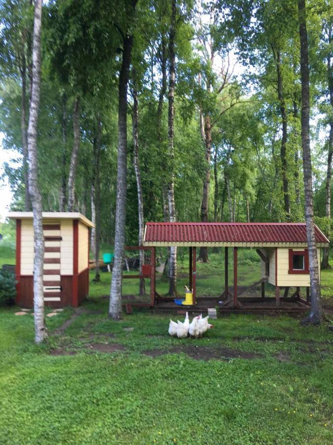 Reinholdi Puhkemaja Jabara Exterior foto